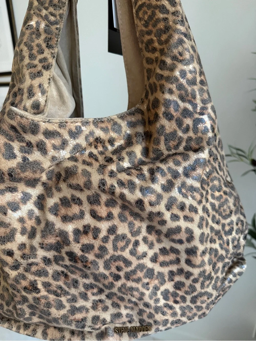 Steve Madden stylish leopard